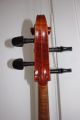 4/4 Alte Cello Old Cello Violoncello Label Enrico Piretti 1943 Nur 3tage Saiteninstrumente Bild 5