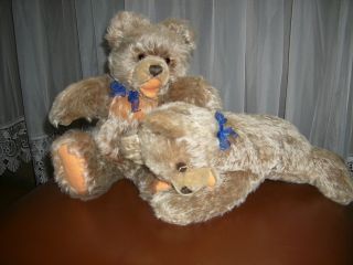 Zwei Steiff - Teddybären - 39cm Zotty U.  Großer 32cm Floppy - Zotty M.  Rassel - 60ziger Bild