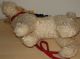Steiff Hund Terrier Foxterrier Mohair Mit Lederleine 34 X 30 Cm Knopf U.  Fahne Tiere Bild 3