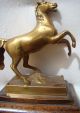 Bronze Pferd Auf Holzsockel Bronze Bild 2