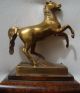 Bronze Pferd Auf Holzsockel Bronze Bild 3