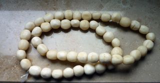 Alte Beinperlen Antik Trade Beads Handelsperlen Afrika - Rarität Bild