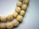 Alte Beinperlen Antik Trade Beads Handelsperlen Afrika - Rarität Afrika Bild 4