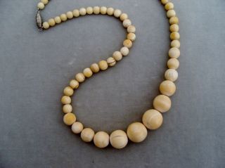 Antike Bein Perlen Kette Halskette Collier Verlauf Gefadelt Bild