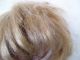 Alte Puppenteile Hellblonde Kurz Haar Perücke Vintage Doll Hair Wig 40 Cm Boy Puppen & Zubehör Bild 4
