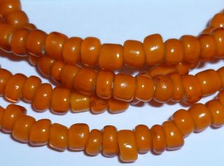 Sams - Beads® 71 Cm Strang Antik Venetian Orange White Inside Seed Beads Um 1900 Bild