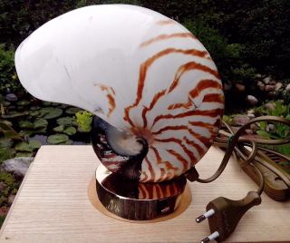 Tischlampe Muschel Nautilus,  Perlboot Auf Bronzefuß,  Selten Und Edel Bild
