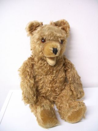 Großer Alter Teddybär Um 1955 - 1960 Bild