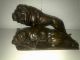 Bronzefigur Figur Bronze Löwe Und Löwin Raubkatzen Signiert Bronze Bild 1