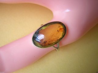 925 Sterling Silber Ring Mit Honig Natur Bernstein Oval 17,  3 Mm / 2,  2 G Amber Bild