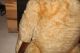 Alter Teddy,  Teddybär (sonneberg Teddy ??) Ca.  90 Cm,  Mit Brummstimme Stofftiere & Teddybären Bild 2