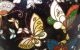 Meiji: Japanische Teekanne: Cloisonne Mit Phoenix Und Schmetterlingen: Um 1890 Asiatika: Japan Bild 7