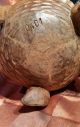 Aussergewöhnliche Gr.  Vase Holz Massiv Schnitzerei Vogel Blume H 31cm - Ge.  2.  305 Holzarbeiten Bild 9