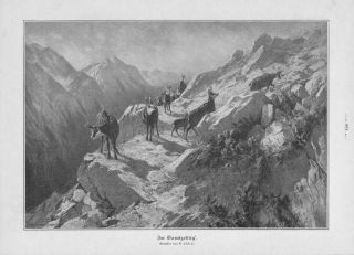 Gemsen Gams Gämsen Im Gebirge Gamswild Holzstich Von 1905 Gamsjagd Bild