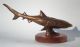 Künstler Bronze Skulptur Der Hai,  Haifisch Menschenfresser - Signiert Houska Ab 2000 Bild 1