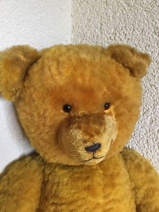 Teddy,  50 Er Jahre,  Sonneberg Bild