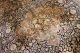 Echter Perser Teppich 370 X 265 Rug Felder Natur Orientteppich Seide Silk Seta Teppiche & Flachgewebe Bild 2