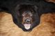 Großes Bärenfell Schwarzbärfell Fell Tierpräparat Ausgestopft Herkunftsnachweis Jagd & Fischen Bild 2