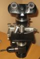 Ernst Leitz Wetzlar Mikroskop,  Binokular,  Objektiv – Revolver, Optiker Bild 2
