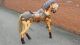 Grosses Holzpferd Karussel Pferd Schaukelpferd Deko 100cm Hoch Pferde Echthaar Antikspielzeug Bild 1