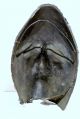 RaritÄt: Römische Maske,  Gesichtsmaske,  Paradehelm,  Massiv Bronze Antike Bild 6