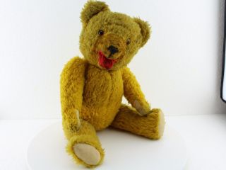 Sammlerstück Teddy - Sehr Schöner Alter Teddybär Mit Brummstimme,  Ca.  40cm Bild