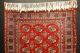 Wunderschöner Teppich Buhara Handrug Sammlerstück Ca: 190x128cm Teppiche & Flachgewebe Bild 5
