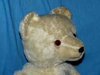 Alte Teddybär Bewegliche Gelenke Könnte Steiff 44 C Sein Aber Ich Bin Mir Nicht Bild