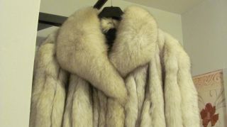Pelzmantel Blaufuchs Mink Zobel Polar Fox Fur Coat Песец Piel Furrore Pelliccia Bild