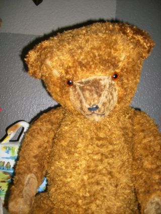 Charakterstarkes,  Liebes,  Altes Bärenmädchen - Teddybär - Stolze 70cm Groß Bild