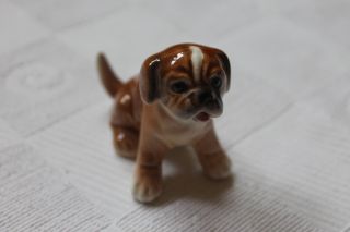 Goebel W.  Germany Porzellan Hund Boxer Welpe Sitzend Bild