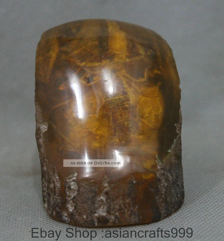 7cm Old Sammeln Chinesischen Bernstein Wahre Scorpion Statue Baum Ast Dekoration Antike Bild