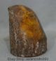7cm Old Sammeln Chinesischen Bernstein Wahre Scorpion Statue Baum Ast Dekoration Antike Bild 3