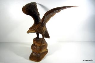 Große Holzfigur Adler Massivholz Handgeschnitzt Wertvolles Sammlerstück Bild