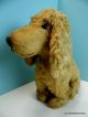 Alter Grosser Hund Peluche France Shabby Vintage Um 1930 Stofftiere & Teddybären Bild 4
