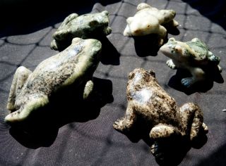 Frosch,  Frog,  Froschkönig,  Frog King,  Dolomit,  Brasilien,  A,  2050 Gramm Bild