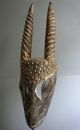 Antelope Mask,  D.  R.  Congo - Antilopen Maske,  D.  R.  Kongo Entstehungszeit nach 1945 Bild 4