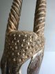 Antelope Mask,  D.  R.  Congo - Antilopen Maske,  D.  R.  Kongo Entstehungszeit nach 1945 Bild 5