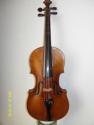 Violine 4/4 Bild