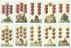 Erzgebirgische Bergmanns - Spielkarten Um 1840,  Kartenspiel F.  X.  Schmid,  Seit 1977 Gefertigt nach 1945 Bild 4