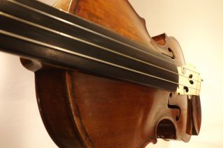 Violine Größe 4/4 Sehr Schönes Altes Instrument Sofort Spielbar Bild