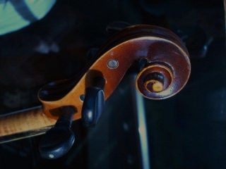 Alte Geige Mit Brandstempel Im Holzkasten - Old Violin Violino Bild
