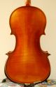 Sehr Gute Alte Deutsche 4/4 Geige - Violine Mit Zettel Antonius Stradivarius Saiteninstrumente Bild 4