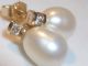 1 Tag Ohrringe,  Ohrstecker Mit Diamanten Und Großen Echten Perlen,  585er - Gold Ringe Bild 1