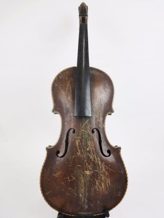 Alte Geige Mit Löwenkopf Vor 1900 Bild