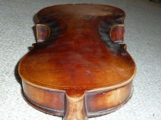 Antike Geige,  Antique Violin,  Dreifach Gedrehte Schnecke,  Doppelte Randeinlage Bild