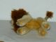 Schuco Arche N.  Tier: Kleiner Löwe / Lion Stofftiere & Teddybären Bild 3