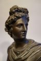 Römische Büste Statue Apollo Von Belvedere Bronze Patiniert 19.  Jhdt.  Rom 22 Cm Antike Bild 2