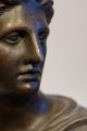 Römische Büste Statue Apollo Von Belvedere Bronze Patiniert 19.  Jhdt.  Rom 22 Cm Antike Bild 3