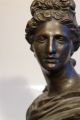 Römische Büste Statue Apollo Von Belvedere Bronze Patiniert 19.  Jhdt.  Rom 22 Cm Antike Bild 4